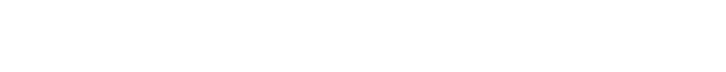 Attempt